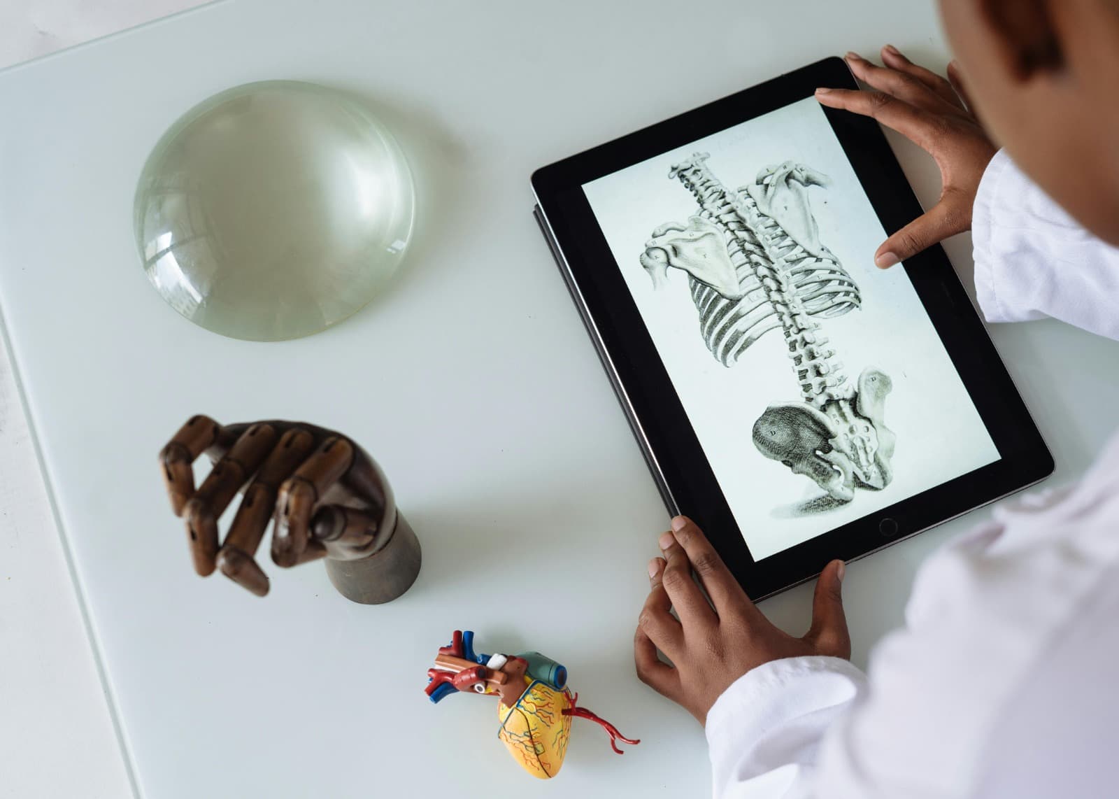 Cursus de préparation en médecine vétérinaire, dentaire et kinésithérapie