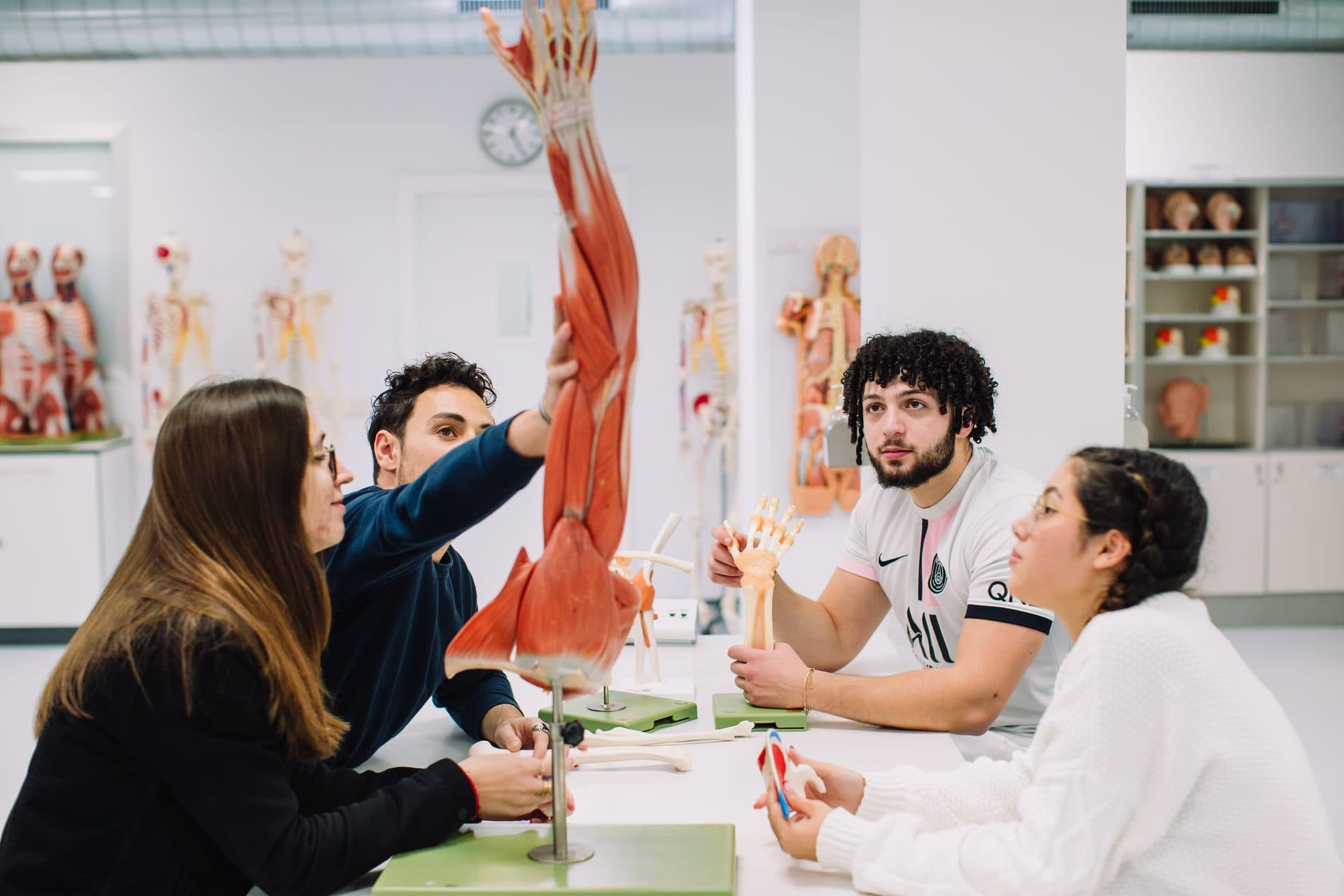 Étudiants en cours d'anatomie sur modèle en laboratoire