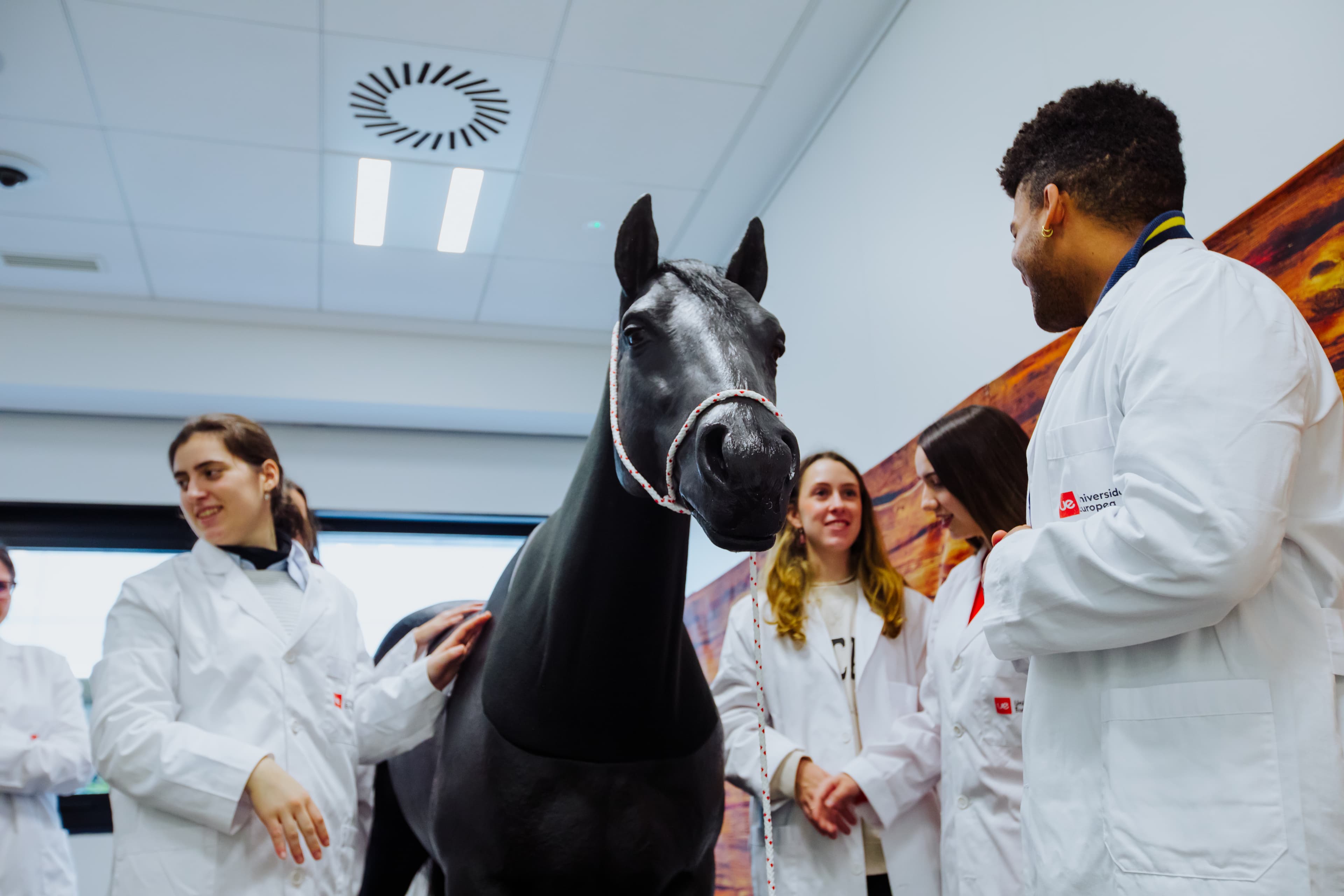 Médecine vétérinaire