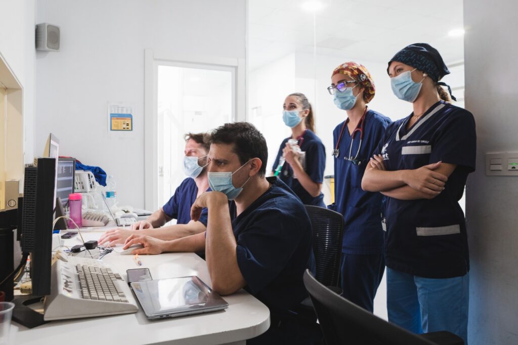 Image d'étudiants en médecine vétérinaire en pratique.