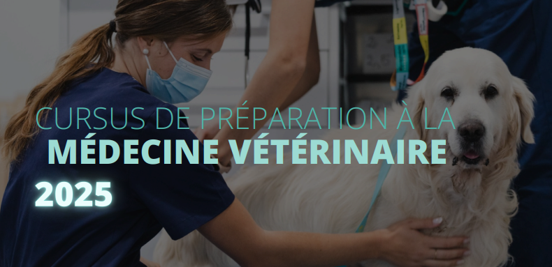 Cursus Vétérinaire